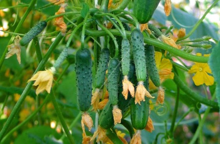 �������� ������: ��� ��������� ��������� ������ � 2026 ����