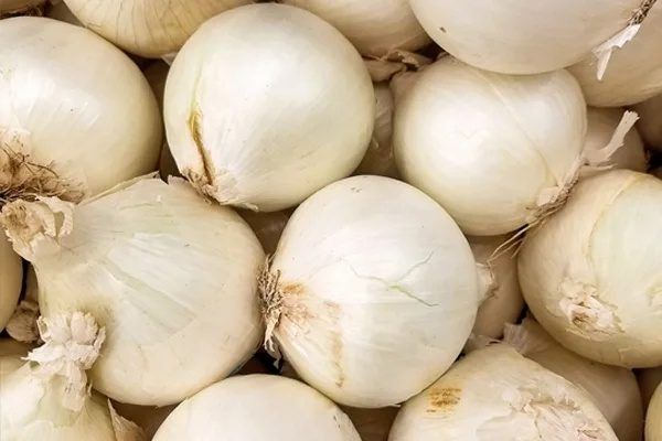 �������: ��������� ��� ��� ������ �������