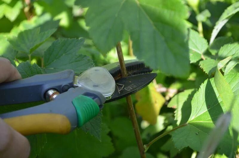 ��� ��������� �������� ������ ��������� � ������� ��� ������������� ������