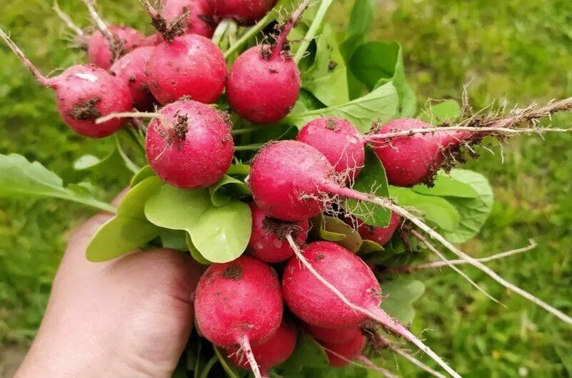 ��� ������� ���������� ����� � ����: ������� �������� ������