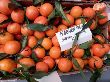 ��� ����� � ����������, ���� ������ ���� �� ������ ��������� ������ ����