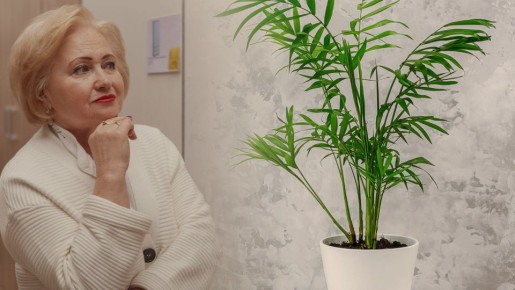 ����� ����� ���� ����������: ��� ������ �������� ������ � ��������� ������