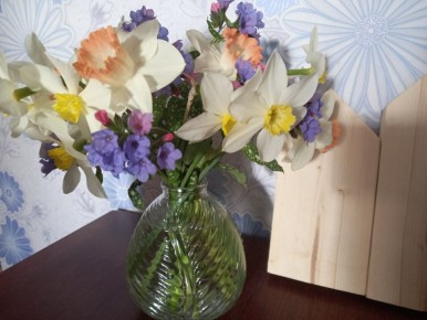 ��� ������� ����� �� ������: ������������ � �����������