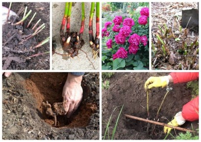 �����: ����� ��� ������������� � ����� ����