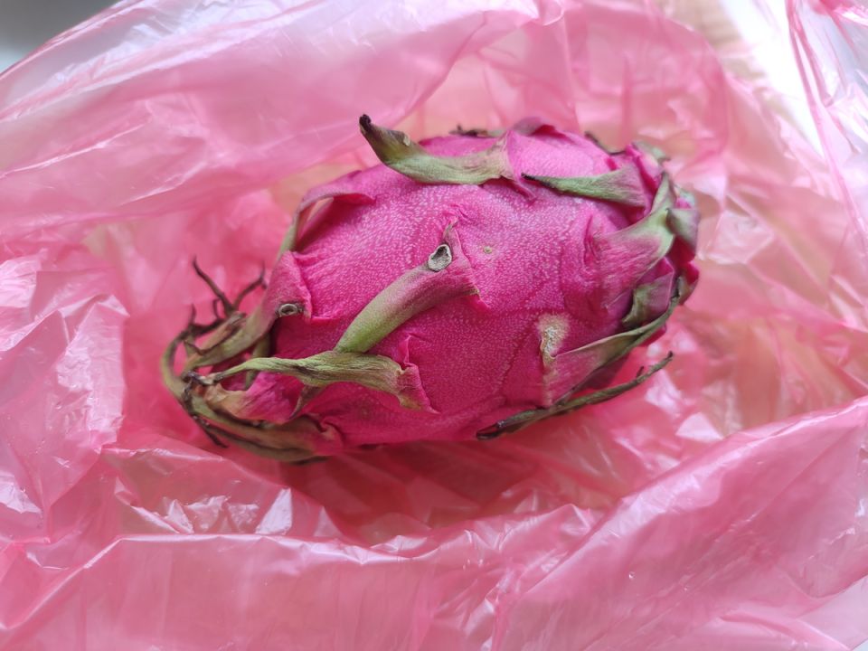 ��������� ����� ����� �����������: ����� � ����� �� ��������� �����