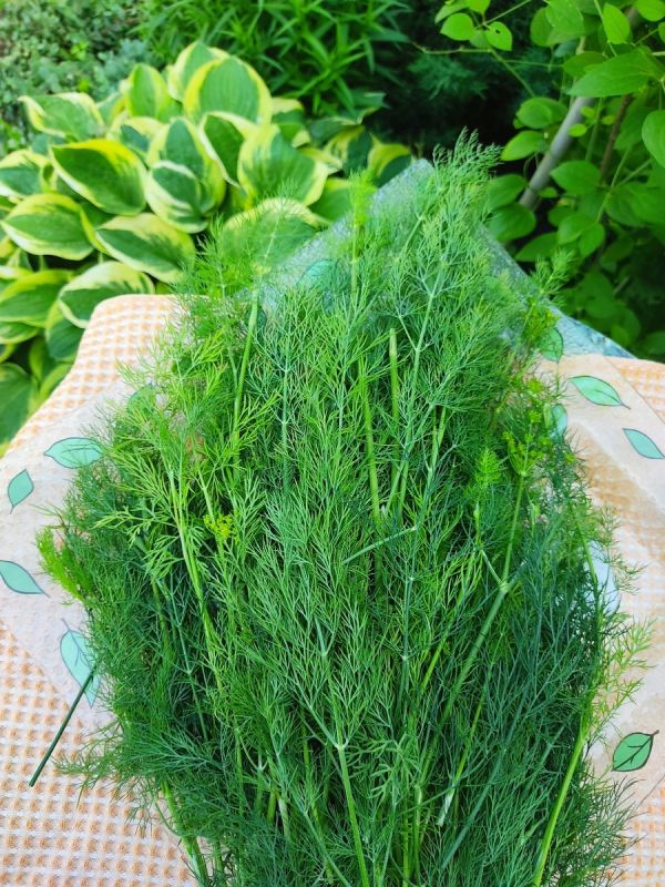 �� ����� ����� ������ ����� ������� ��������� ��������� � ������