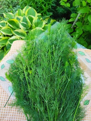 �� ����� ����� ������ ����� ������� ��������� ��������� � ������