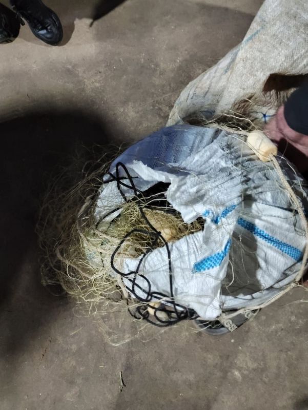 �������. ��������. � ������ ������� ������ ������� �� ���������� ��� �������� ������� ������ ��������� ������� � 1 �. ������ � ���������� ������ ������� ������������� �������� � ��������� �������� ������