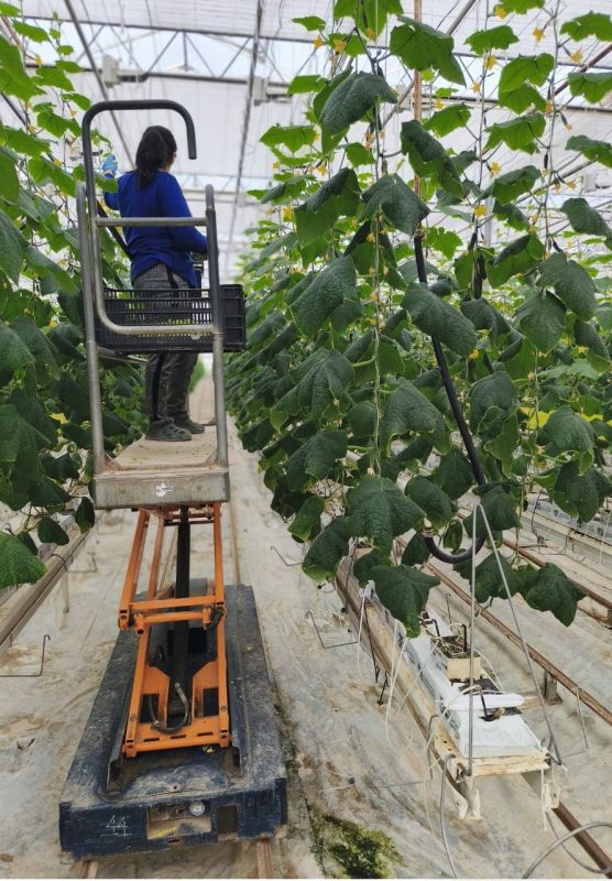 ���������� �����: ����� ��������� ��������� ���������