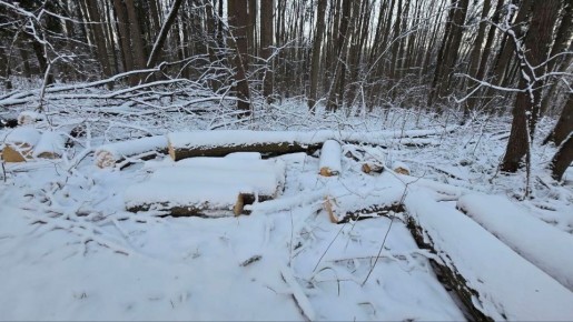 ��������. ������������� ��������������� ����������� ������� ���� ��������-�������� ������ ����� ���������� ����� � ����� ������� ������������ ��������������� ������������ ������������ ����������� �����������, � ��� ����� ��...