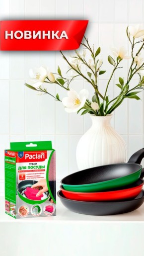 Paclan ������������ ��������������� ����� ��� ������ ������