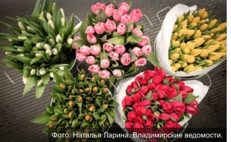 �������� ������� � �������� ������������� ���������� ���������