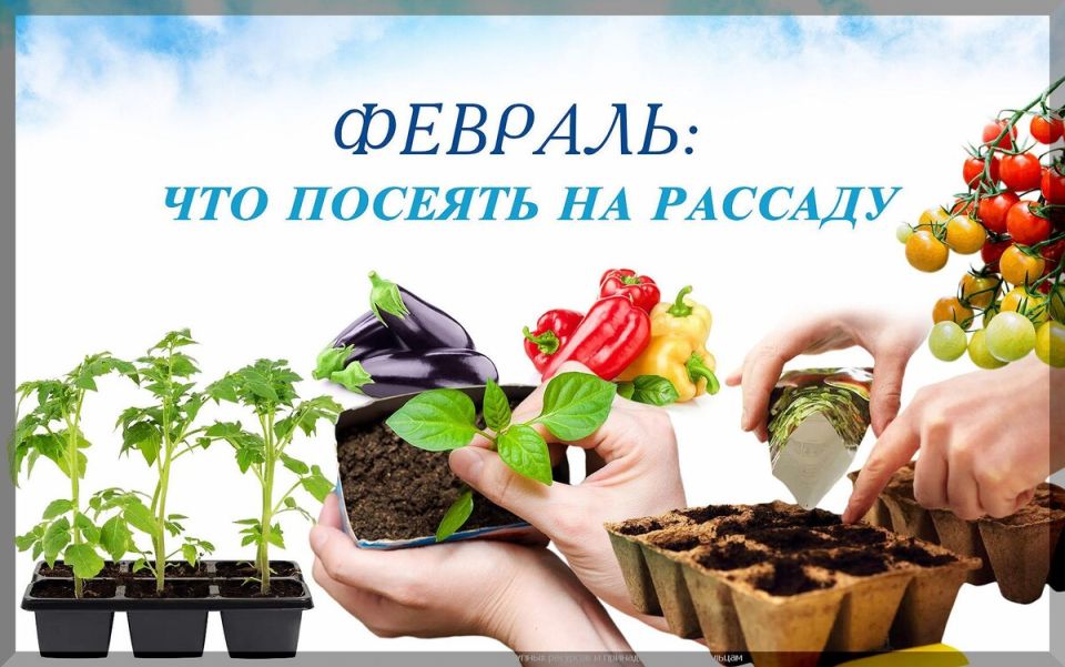 �������: ���� ��� ������ ������� ������ � ������