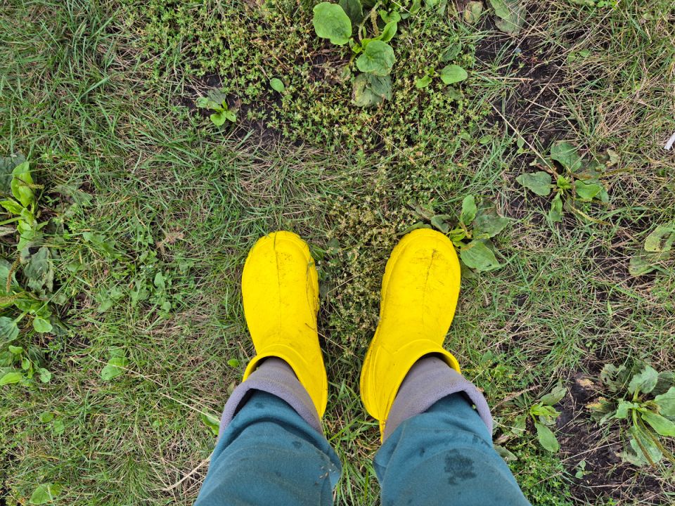 ��������� ��������� �������� ������ �������� ��������� �� �����