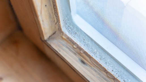 � ���������� �������� �����: ��� ��� ���� �������� ����