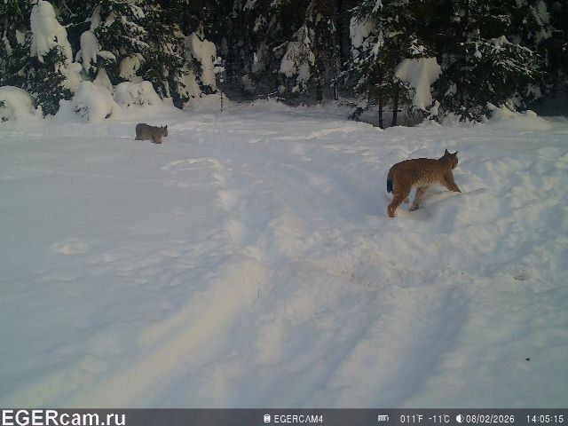 ������ ����� � �����. ����������� � ���������� ���������� ��������� (���������� �����) ������� ����������� ������