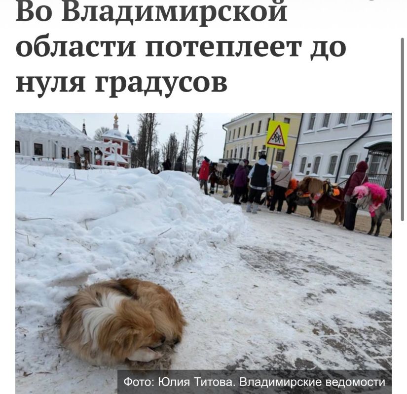 ��������, ������� ���� � ������ ����