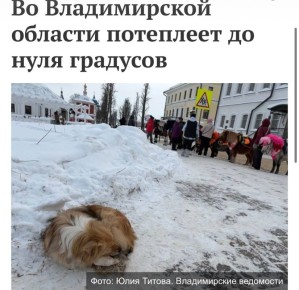 ��������, ������� ���� � ������ ����