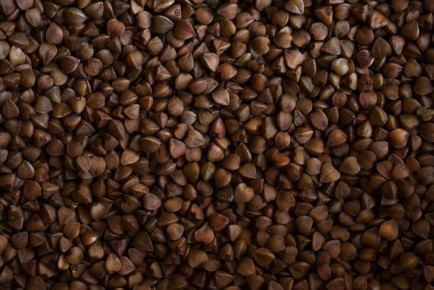 ���� � �������: ���������� ��������� ������� �����