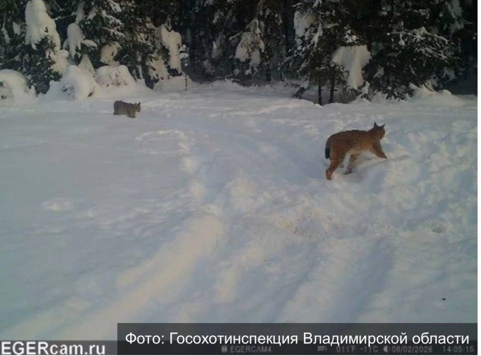 � ���������� ����� ����������� ����������� �������� �� ����� ���� �����