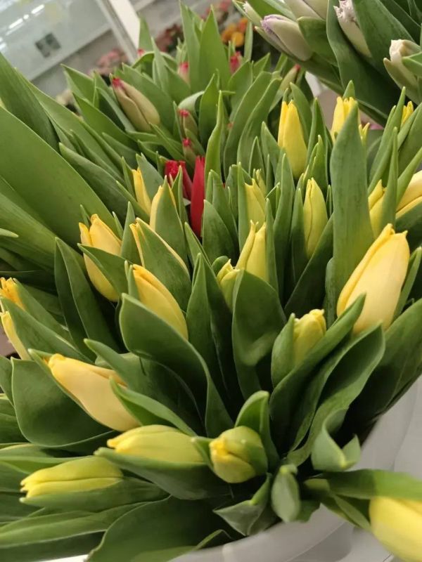 �������� ���������� �� ��������� ������ ������ ������ ���������