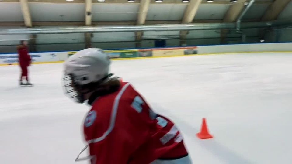 Трус не играет в хоккей!. И тут невозможно не согласиться