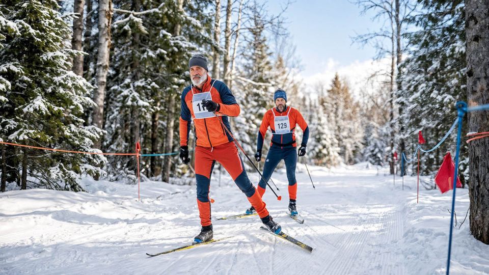 ��������� ����� �������� ����� �����: �������� ������ ���� ������