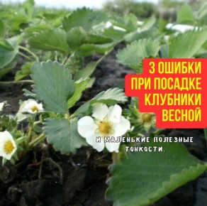 ������� �������� ������� ��������: ��� �������� ���������������� ������