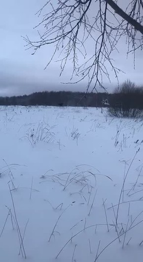 ���� ������ ��������� ������� ���������� ���������������� � ���������� ������