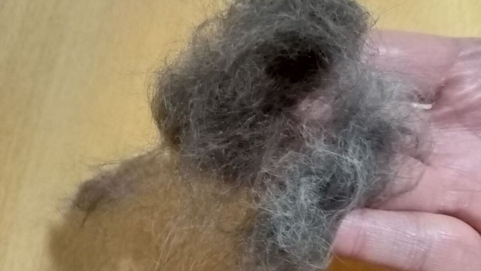 ����������� ������� �������� ������� � ��������: ������� �������� �������