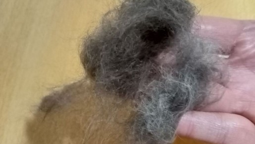 ����������� ������� �������� ������� � ��������: ������� �������� �������