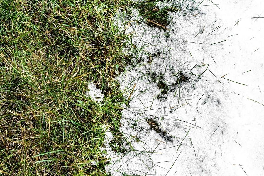 �������� ���� �� �������: 7 ����� � ���������� ��������� ��������