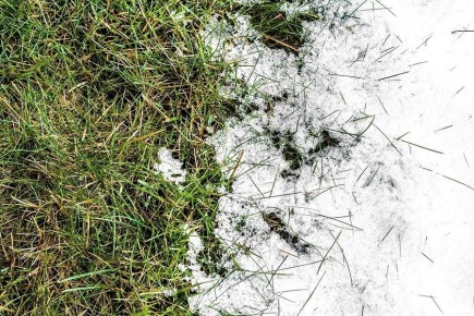 �������� ���� �� �������: 7 ����� � ���������� ��������� ��������