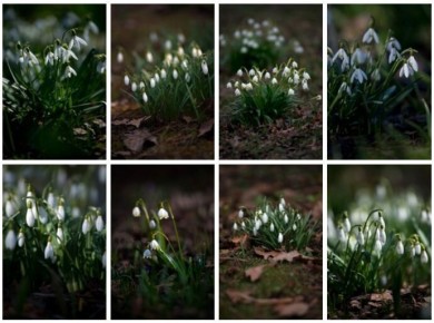 �����������: �������� �������� ������� � ����� � ���, ������� ��� ������