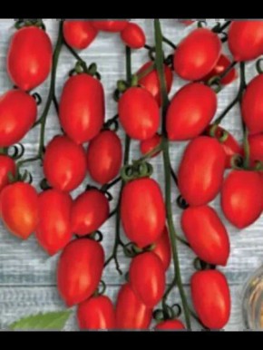 ����� ���� �������: ��������� ���������� ������������ �������� ������� ��� �����������