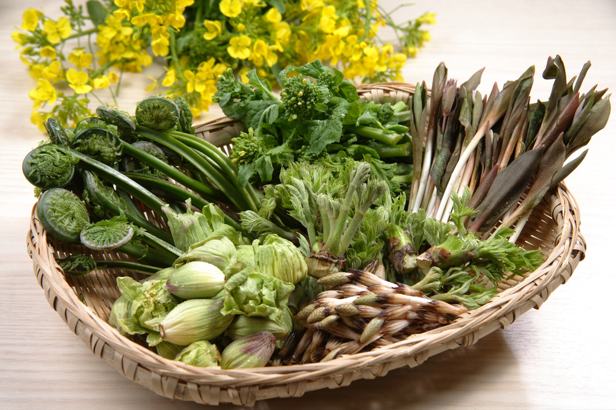 Раскрываем тайны японской кухни: от васаби до экзотических папоротников