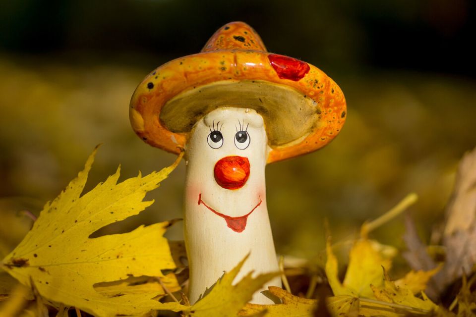 �������� ����������� ������������ �����: ������� ���� ��� ����������