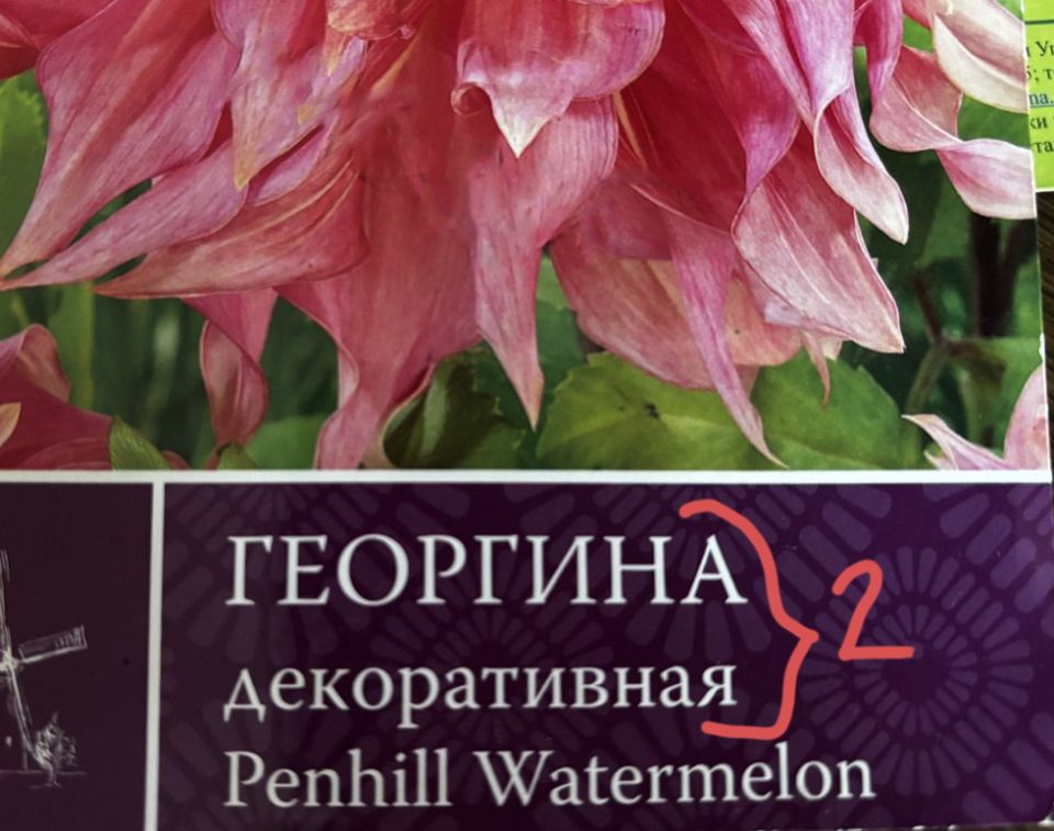 ��� ������������ ������ ���� ��������� �������� ��������