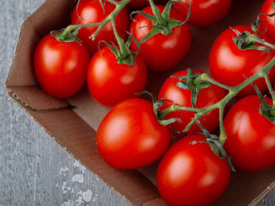 ����� �������� ������������ � ������: �������� ����������� � �������������