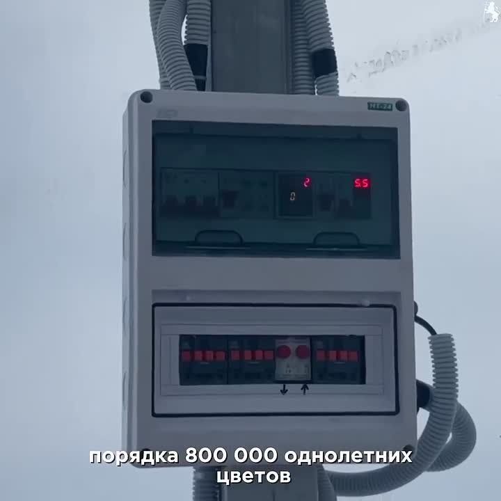 Тепличный комплекс готовится к сезону озеленения — первые саженцы уже пикируют!