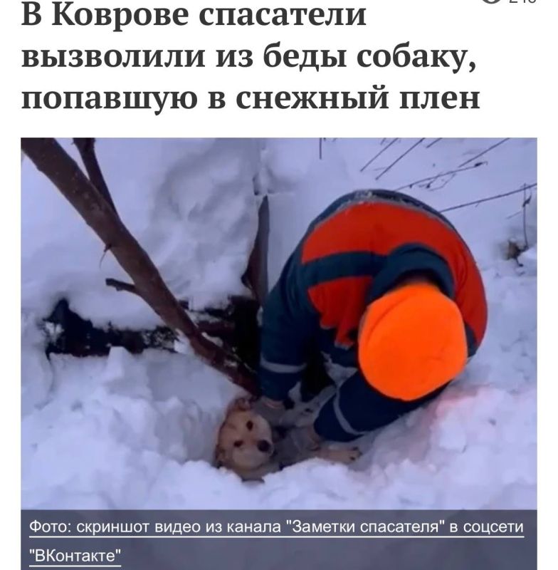 14 ������� � ����� �������� ���� ����� ���� � ������� �� ����� ����� �� �����