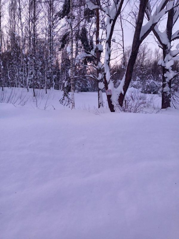 � ������������� ������ �������� ������� ���������� ���������� ���� � ����� � ������������� ��������� ���������������� �������������