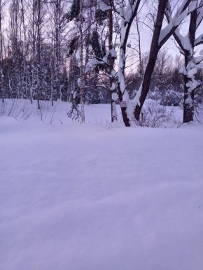 � ������������� ������ �������� ������� ���������� ���������� ���� � ����� � ������������� ��������� ���������������� �������������