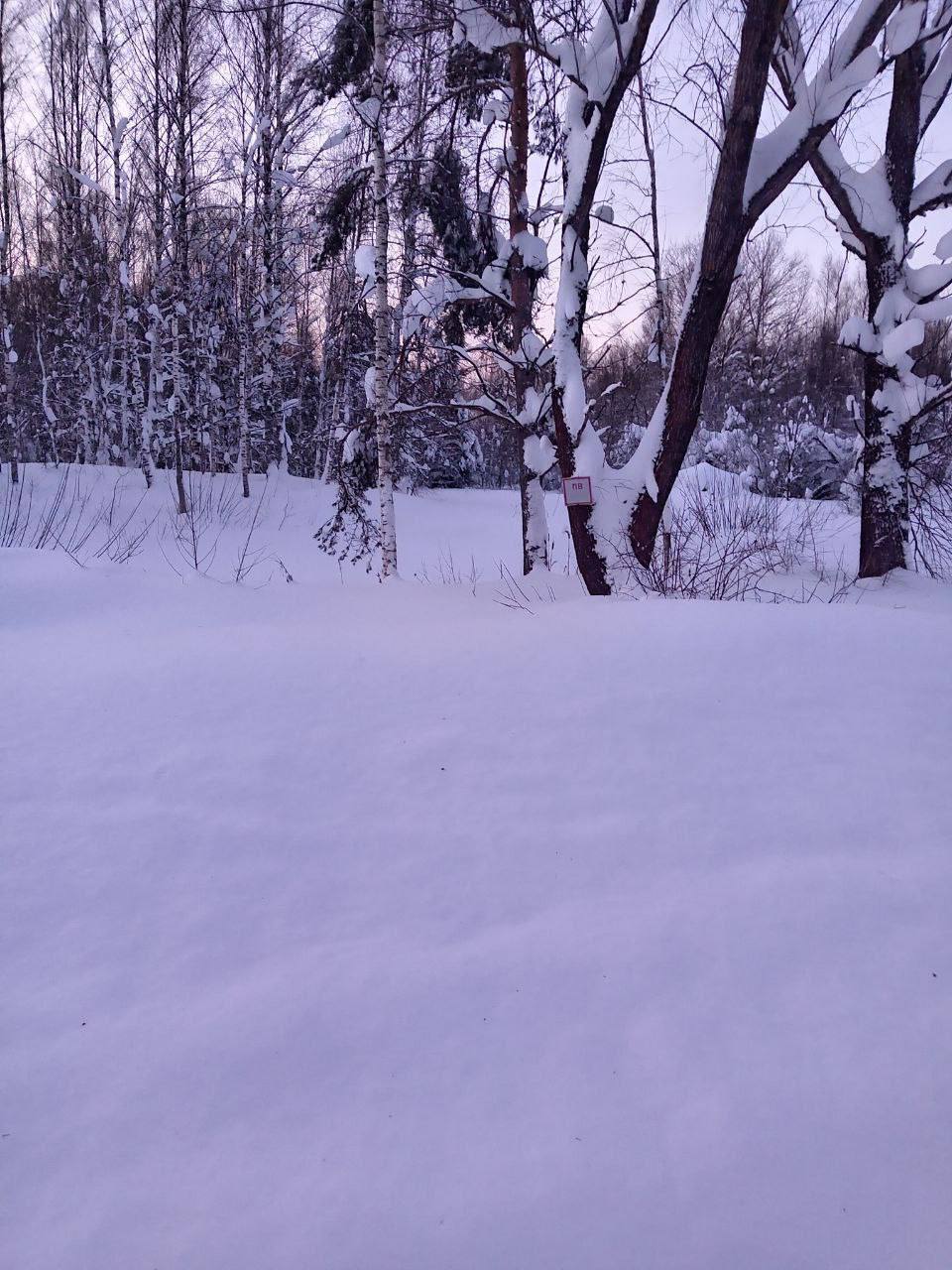В Селивановском районе прокурор требует расчистить подъездные пути к пруду – единственному источнику противопожарного водоснабжения