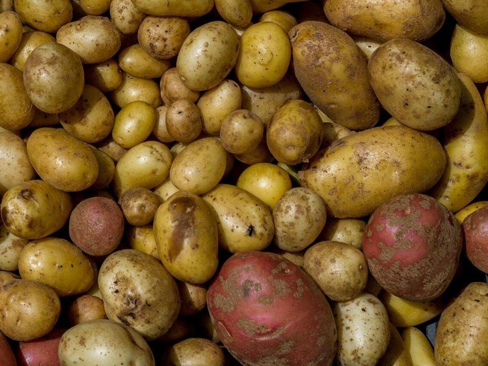 ����������� �������� ��������� ��� �������