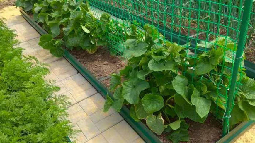 ��� ��������� ������ ��� ������: ������� ��������� ������