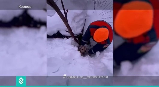 ���������� ��������� ��������� �� �������� ����� ������