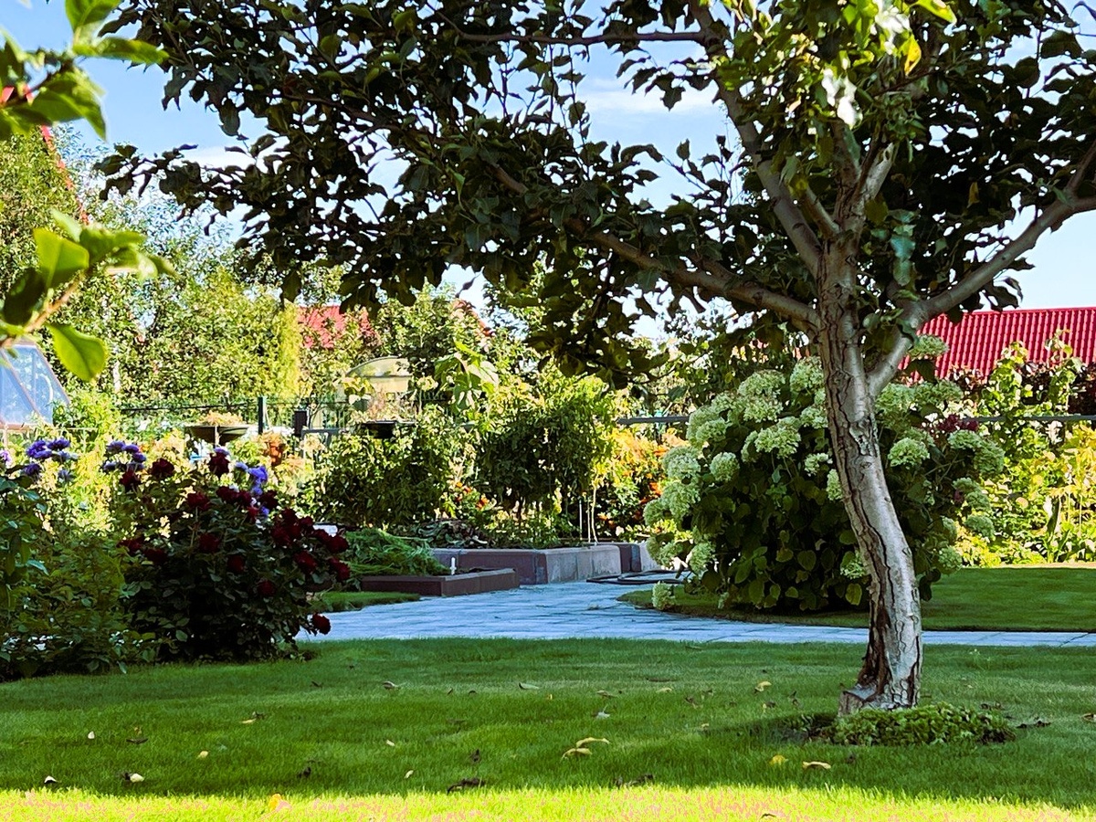 Как подарить газону весеннее rejuvenation: практические советы по уходу