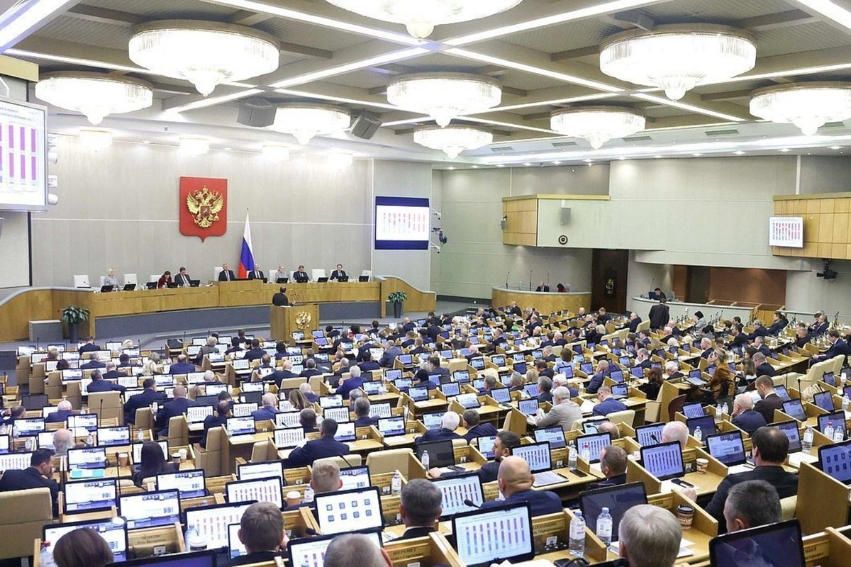 Госдума приняла ряд законов для поддержки образования и студентов