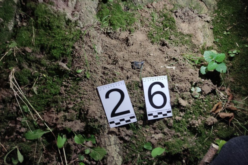 �� ��������� �������� ������ ����������� ��������� �� ��������������� ���������� � ������� �������